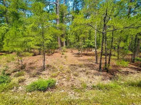 6 Calahorra Cir, Hot Springs Village, AR 71909