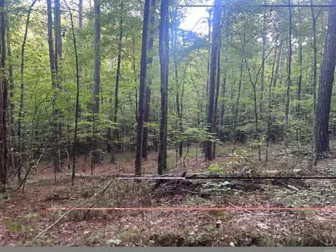 tbd Camden Ln, Amity, AR 71921 photo 9