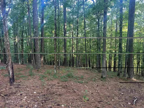 tbd Camden Ln, Amity, AR 71921 photo 6