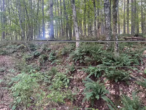 tbd Camden Ln, Amity, AR 71921 photo 8