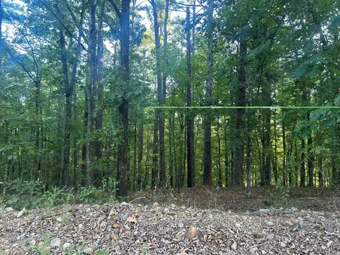 tbd Camden Ln, Amity, AR 71921 photo 7