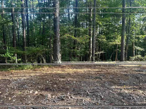 tbd Camden Ln, Amity, AR 71921 photo 17