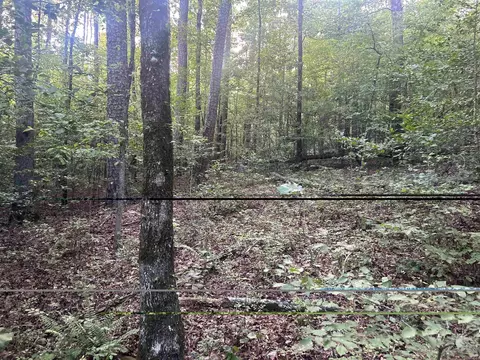tbd Camden Ln, Amity, AR 71921 photo 14