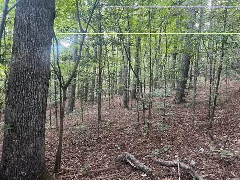 tbd Camden Ln, Amity, AR 71921 photo 15