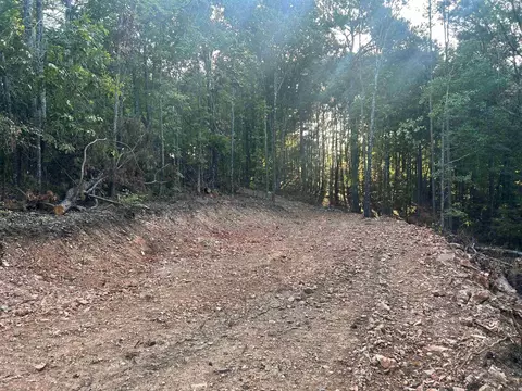 tbd Camden Ln, Amity, AR 71921 photo 5