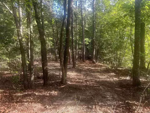 tbd Camden Ln, Amity, AR 71921