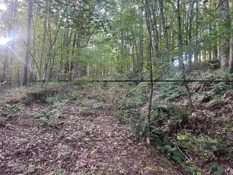 tbd Camden Ln, Amity, AR 71921 photo 10