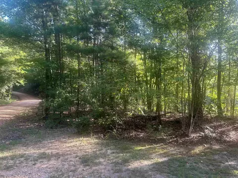 tbd Camden Ln, Amity, AR 71921 photo 20