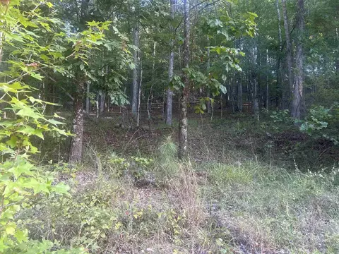 tbd Camden Ln, Amity, AR 71921 photo 21