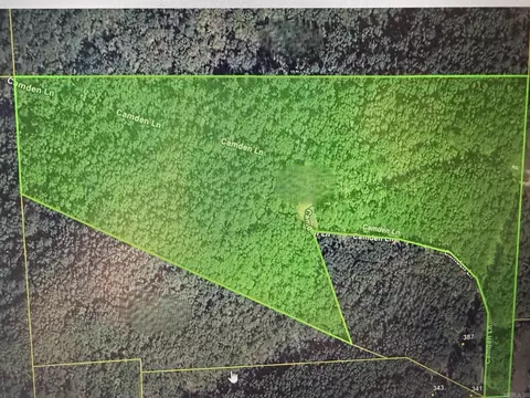 tbd Camden Ln, Amity, AR 71921 photo 4