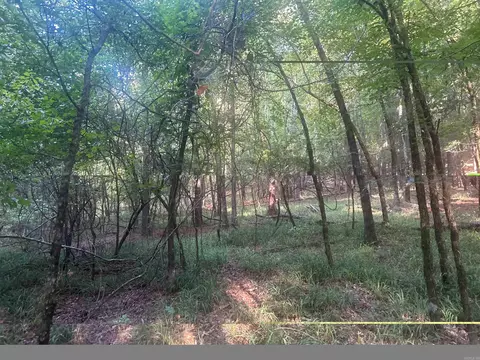 tbd Camden Ln, Amity, AR 71921 photo 12