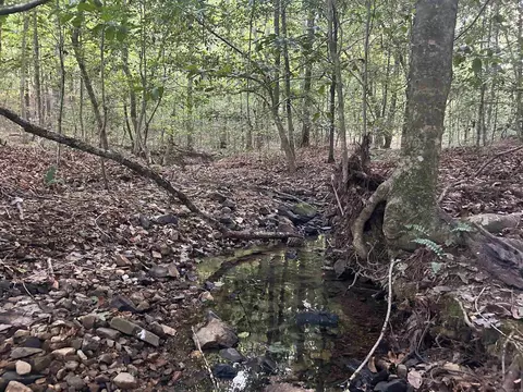 tbd Camden Ln, Amity, AR 71921 photo 13