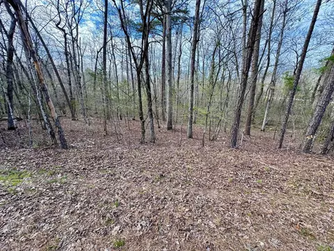 3 Saldana Way, Hot Springs Village, AR 71909