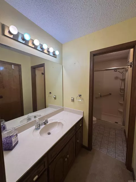 Bath - 11703 Dalin Rd, Cabot, AR 72023 photo 5 of 7