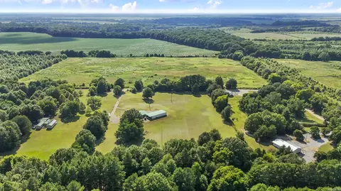 View/Area - 100 County Road 866, Gregory, AR 72059 photo 4 of 4