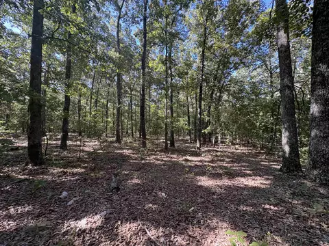 Exterior - 352 Hwy 62412, Ash Flat, AR 72513 photo 7 of 8