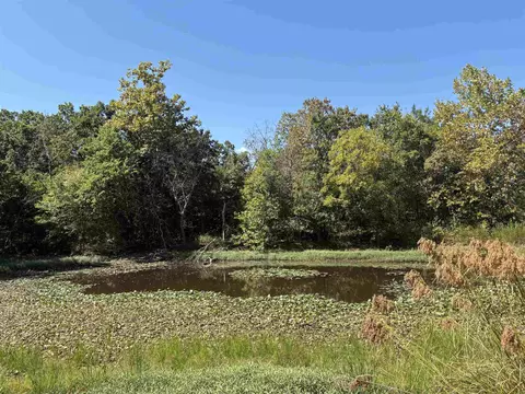 View/Area - 352 Hwy 62412, Ash Flat, AR 72513 photo 1 of 2