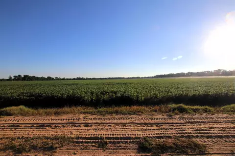 000 Bottoms Rd, Plumerville, AR 72127 photo 27
