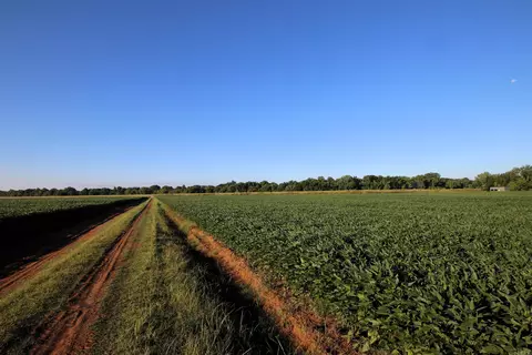 000 Bottoms Rd, Plumerville, AR 72127 photo 30