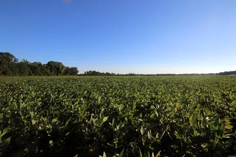 000 Bottoms Rd, Plumerville, AR 72127 photo 19