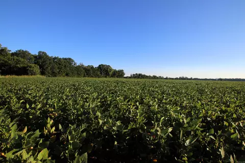 000 Bottoms Rd, Plumerville, AR 72127 photo 20