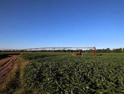000 Bottoms Rd, Plumerville, AR 72127 photo 15