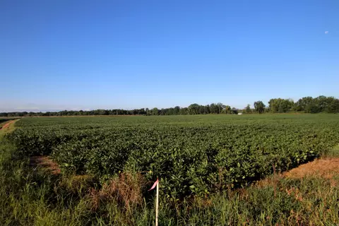 000 Bottoms Rd, Plumerville, AR 72127 photo 31