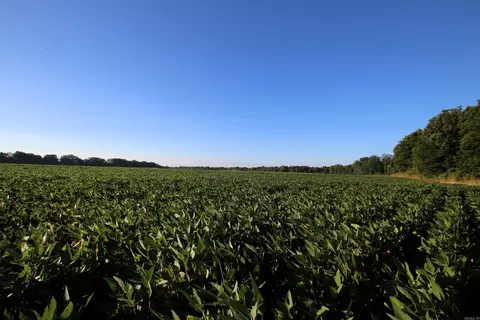000 Bottoms Rd, Plumerville, AR 72127 photo 21