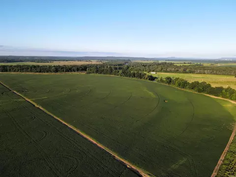 000 Bottoms Rd, Plumerville, AR 72127 photo 6