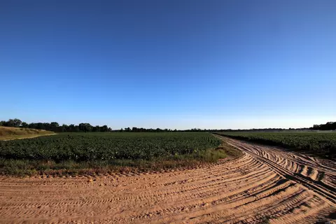 000 Bottoms Rd, Plumerville, AR 72127 photo 29