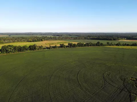 000 Bottoms Rd, Plumerville, AR 72127 photo 5