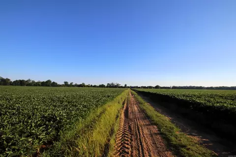 000 Bottoms Rd, Plumerville, AR 72127 photo 17