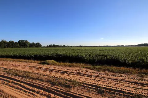 000 Bottoms Rd, Plumerville, AR 72127 photo 26
