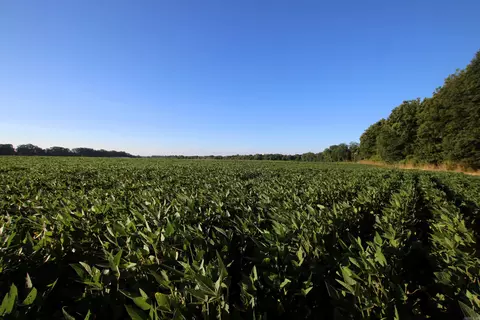 000 Bottoms Rd, Plumerville, AR 72127 photo 22