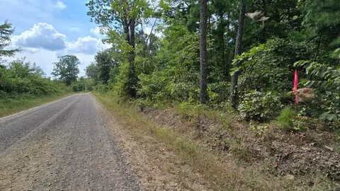 1955 Brock Rd, Clinton, AR 72031 photo 9