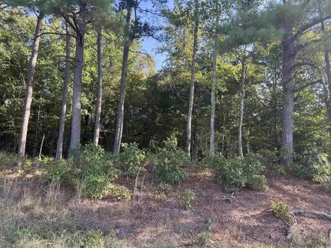 10 Castle Road, Amity, AR 71921 photo 2