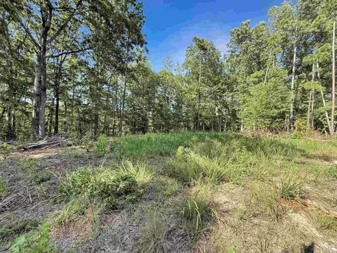 14 Ac Chicot Trl, Bismarck, AR 71929 photo 10