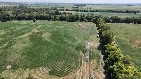 23666 Mickey Rd, Trumann, AR 72472 photo 8