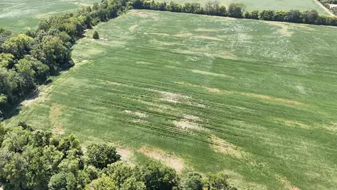 23666 Mickey Rd, Trumann, AR 72472 photo 22