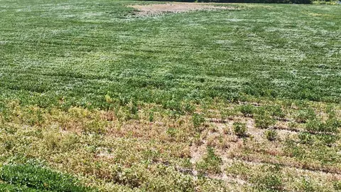 23666 Mickey Rd, Trumann, AR 72472 photo 30