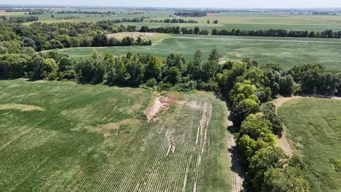23666 Mickey Rd, Trumann, AR 72472 photo 9