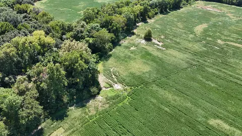 23666 Mickey Rd, Trumann, AR 72472 photo 18