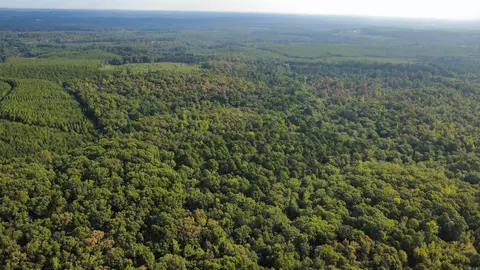 tbd Casey Rd, Malvern, AR 72104 photo 11