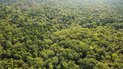 tbd Casey Rd, Malvern, AR 72104 photo 14