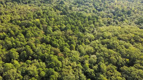 tbd Casey Rd, Malvern, AR 72104 photo 4
