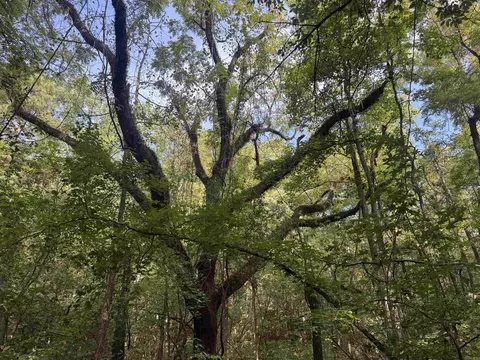 tbd Casey Rd, Malvern, AR 72104 photo 2