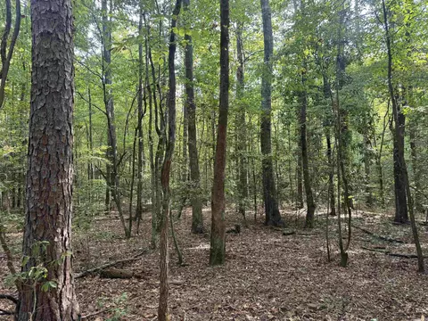 tbd Casey Rd, Malvern, AR 72104 photo 8