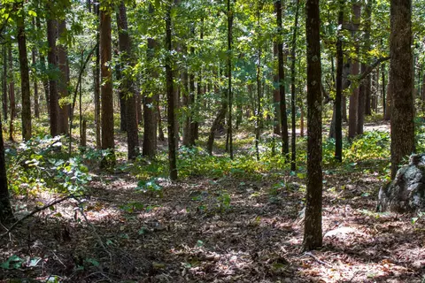 2 Sandy Ford Road, Beebe, AR 72012 photo 12
