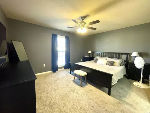 433 N Willow Ave, Trumann, AR 72472 photo 9