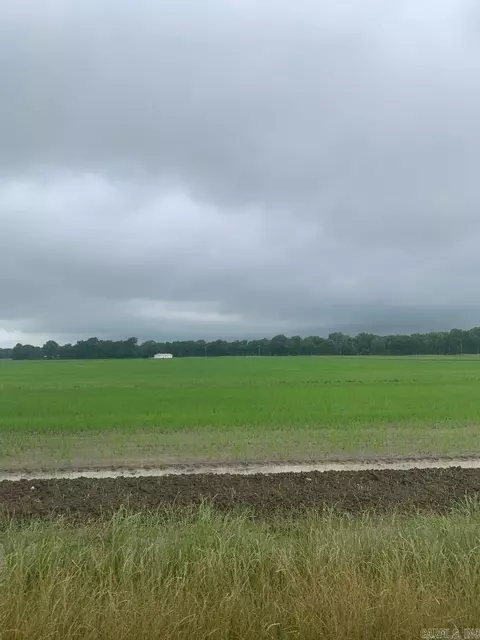 420 Greene 107 Rd, Delaplaine, AR 72425
